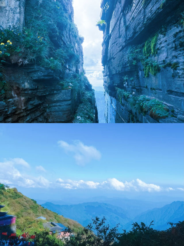 狂刷3w步！梵淨山恐高慎入版攻略