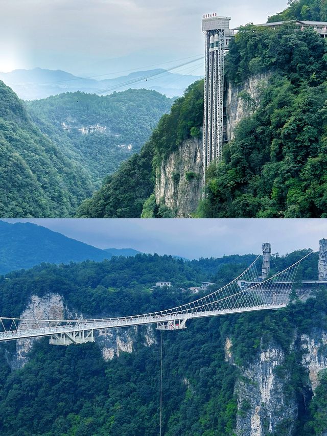 藏在深山裡的藍眼淚
