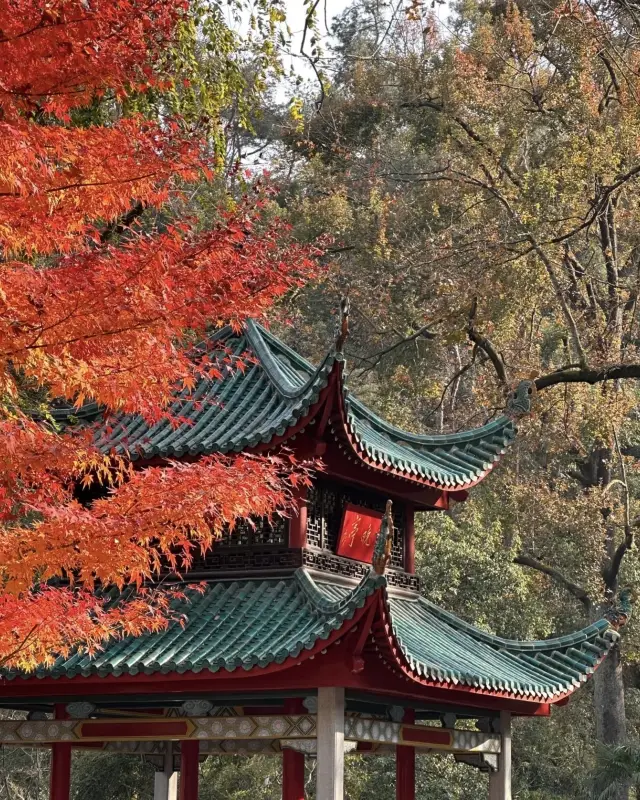 Where autumn light spills like ink, Changsha is at its clearest and finest