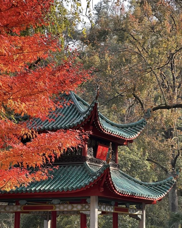 秋光潑墨處，長沙正清嘉