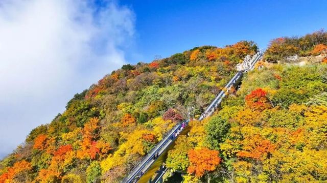 漢中紅葉季直通車上線