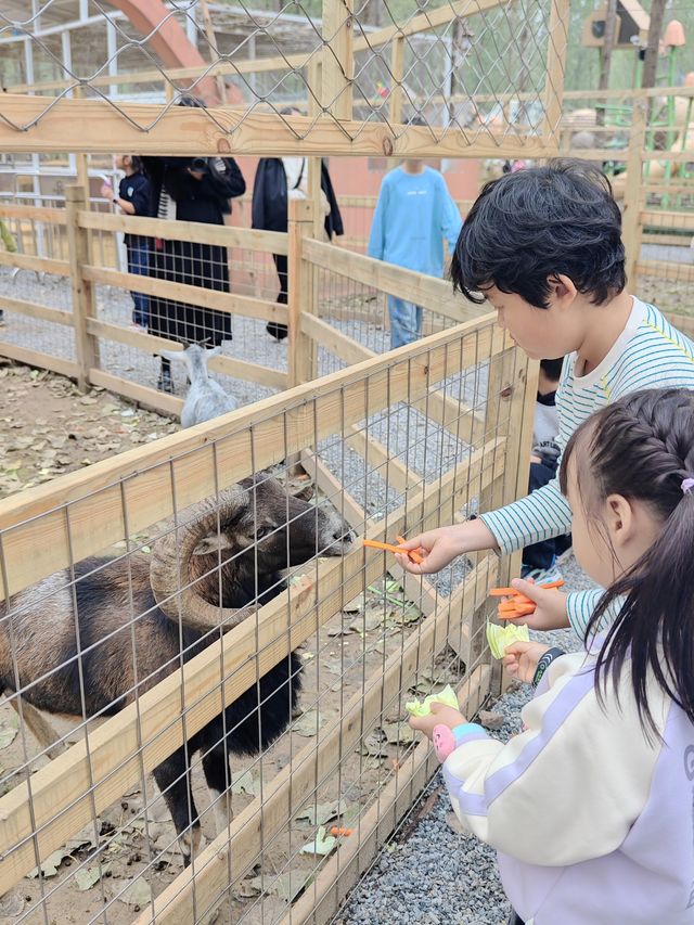 53000㎡親子樂園，帶小朋友放電一整天