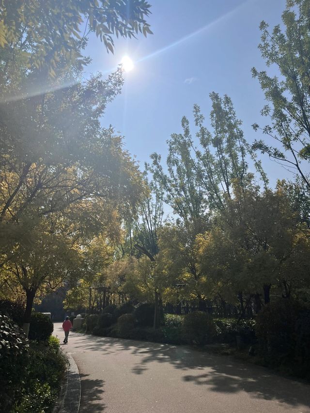 西安東郊免費遛娃寶藏地，幸福林帶兒童樂園太香啦！
