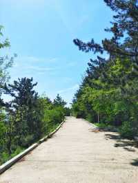 大連西尖山公園：0元解鎖山海全景的城芯秘境