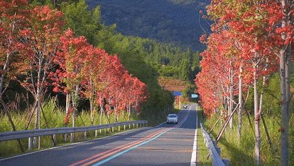 三百山秋日詩意之旅