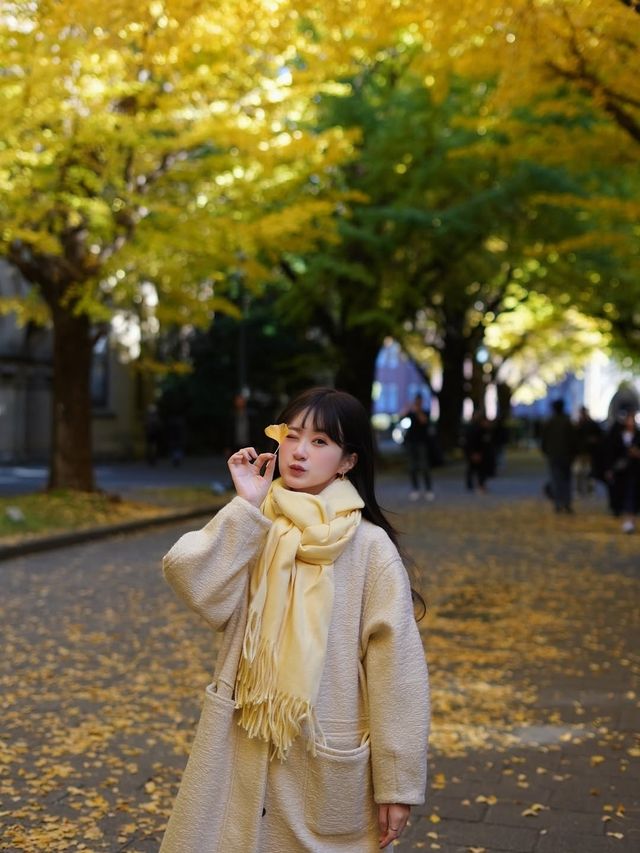 東京大學銀杏季倒數計時 這裡美到忘記呼吸！