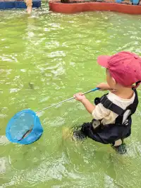 國慶反向遊 | 這個農場人少景美還能捕魚！