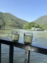 快碼住桐廬兩日|徒步|小眾富春江遊船攻略