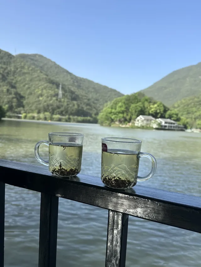 快碼住桐廬兩日|徒步|小眾富春江遊船攻略