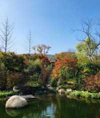 墜入秋天的童話天台山秋日漫遊指南