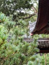 隋代古剎，禪意悠然，一場洗滌心靈的修行