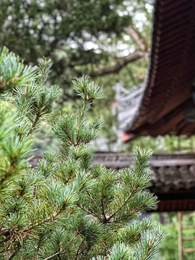 隋代古剎，禪意悠然，一場洗滌心靈的修行