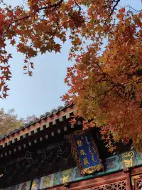 跟風成功！北京賞秋打卡地詳細路線