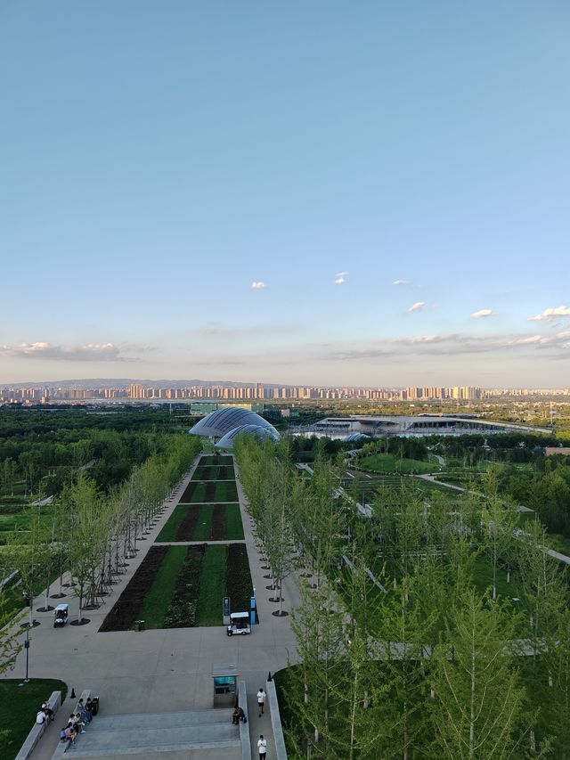 太原植物園遛娃攻略網紅大扶梯+猴面包樹