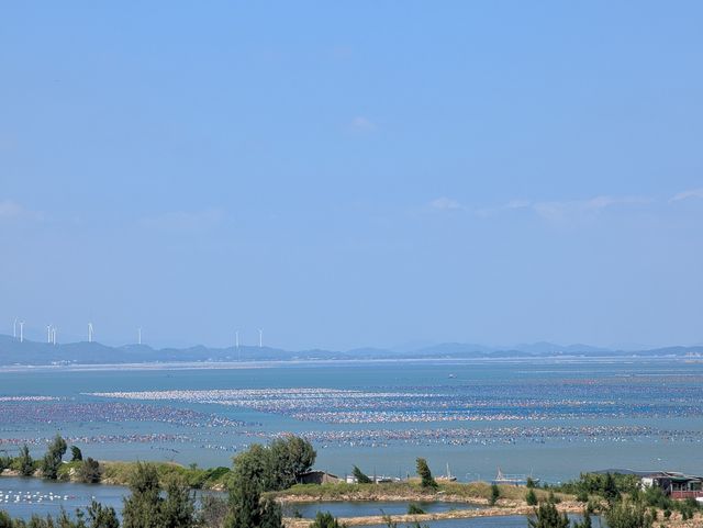 潮汕+南澳島3日遊：暢遊海島秘境，探訪老城風情