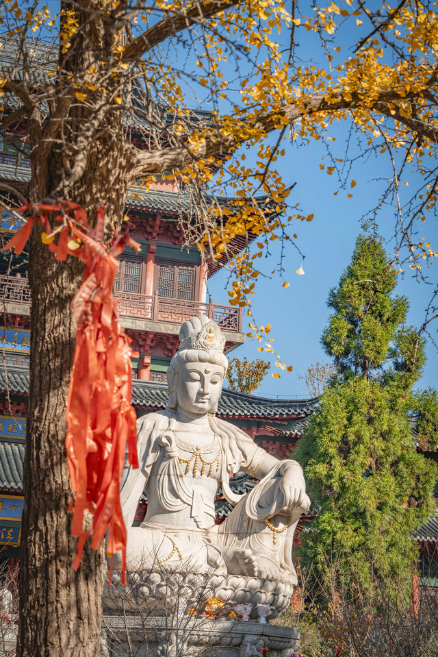 南京毗盧寺的秋天太美了附拍照打卡攻略路線 南京毗盧寺的秋天太美了附拍照打卡攻略路線