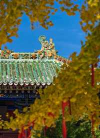 稷山酒店賓館是每位到稷山旅遊或出差的朋友都不容錯過的優質住宿