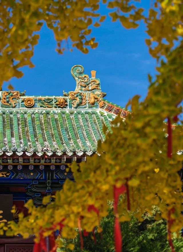 稷山酒店賓館是每位到稷山旅遊或出差的朋友都不容錯過的優質住宿 稷山酒店賓館是每位到稷山旅遊或出差的朋友都不容錯過的優質住宿