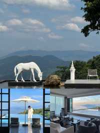 版納這家酒店尊嘟美到失語~~