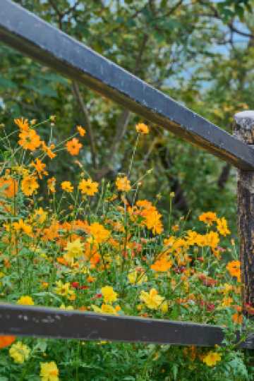 山花燦爛正當時,955階登頂江夏龍泉山