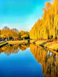 甘肅私藏！天水才是絲路真寶藏，彩林+千年人文美到失語