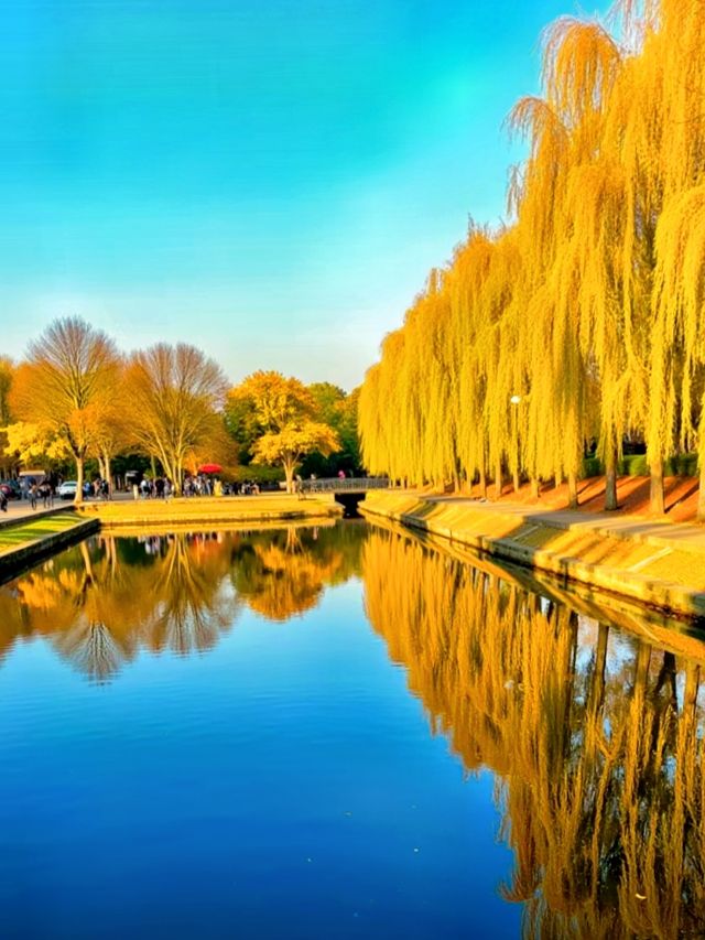 甘肅私藏！天水才是絲路真寶藏，彩林+千年人文美到失語