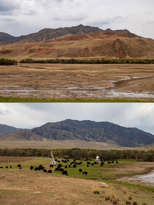 郭莽濕地,藏喺甘肅嘅夢幻仙境 郭莽濕地,藏喺甘肅嘅夢幻仙境