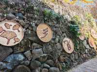 市區1h+達 深秋杭州這個古村落美到失語