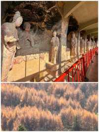 西北環線必衝！麥積山石窟超全攻略+省錢秘笈