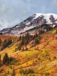 美國1天秋天旅行攻略快碼住