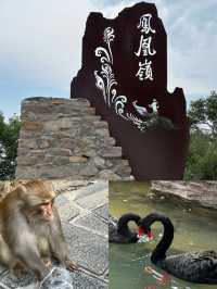 雲台山紅石峽美到封神！瀑布、雲海、美食全攻略！