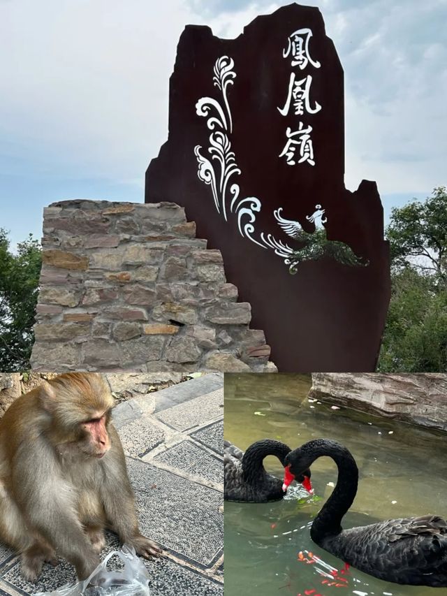 雲台山紅石峽美到封神！瀑布、雲海、美食全攻略！