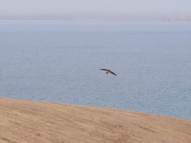 去駐馬店必打卡！邂逅宿鴨湖絕美落日