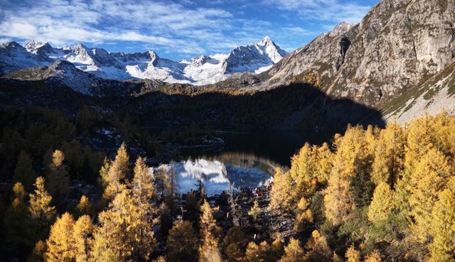 甘孜深秋美景，雪山彩林繪高原童話