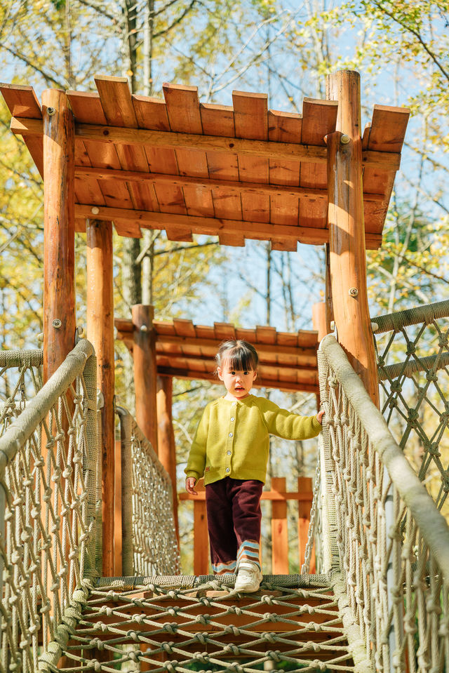 杭州出發1h,銀杏林農場是秋冬遛娃天花板 杭州出發1h,銀杏林農場是秋冬遛娃天花板
