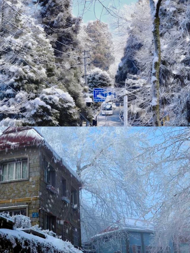 瘋了！廬山第一場雪，美到我站在雪地裡直跺腳！