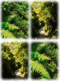 廣州增城白水寨天然氧吧你去過幾次?