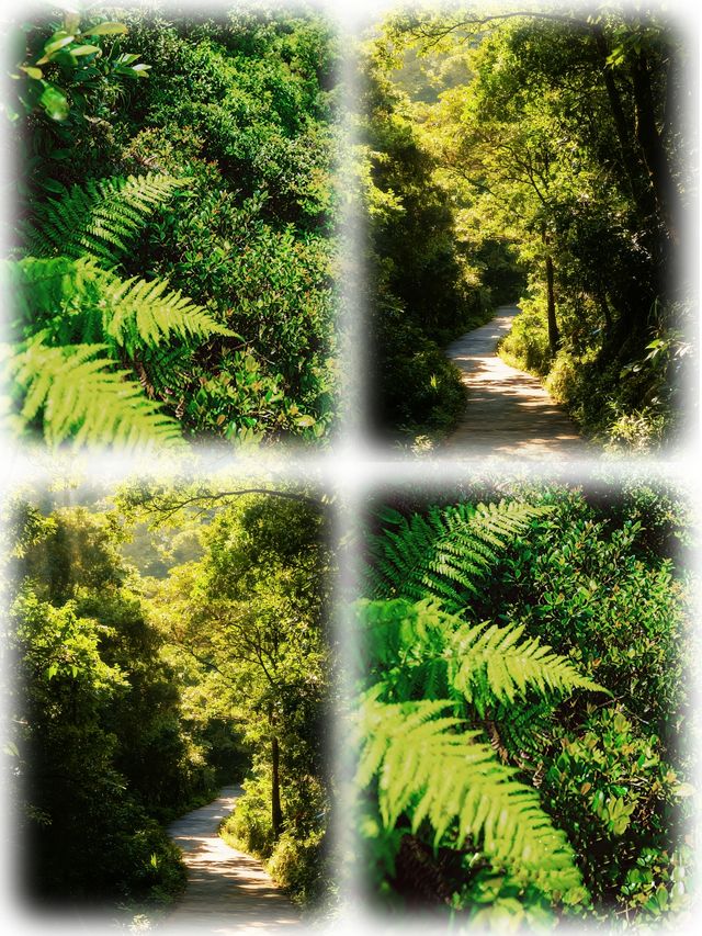 廣州增城白水寨天然氧吧你去過幾次? 廣州增城白水寨天然氧吧你去過幾次?