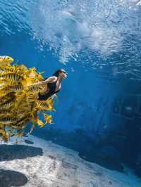 秋遊三亞包車打卡超chill行程