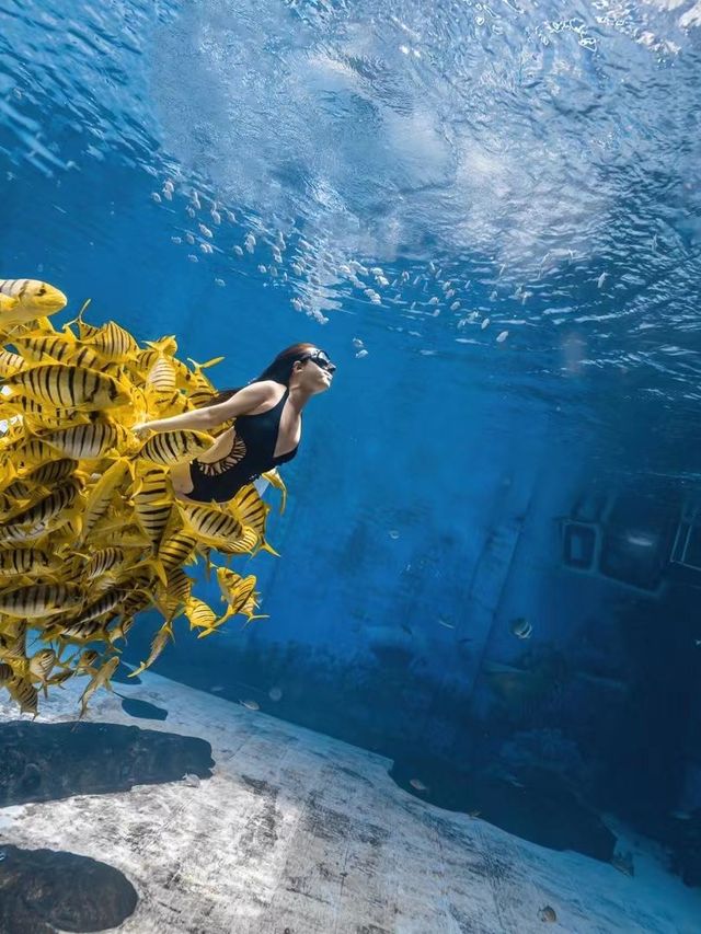 秋遊三亞包車打卡超chill行程