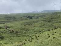 逃離城市計劃盤州烏蒙大草原自駕遊太治癒了！ 從鋼筋森林到遼闊草原，在攜程下單包車直接衝往烏蒙大草