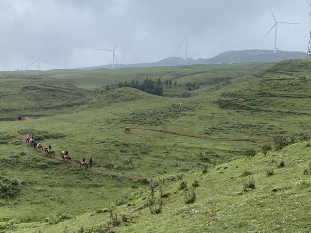 逃離城市計劃盤州烏蒙大草原自駕遊太治癒了！ 從鋼筋森林到遼闊草原，在攜程下單包車直接衝往烏蒙大草