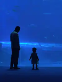 一歲半幼崽的海洋世界之旅