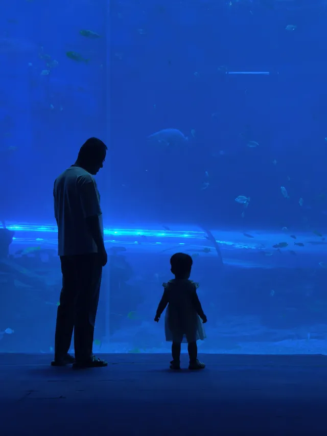 一歲半幼崽的海洋世界之旅