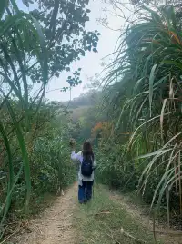 看見一片湖，誤闖入人間仙境！