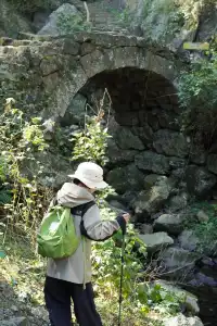 紹興柯橋雪竇嶺親子徒步