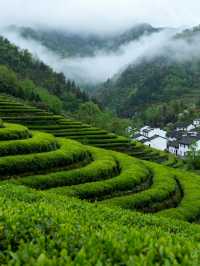 隴南4日遊 | 官鵝溝與萬象洞經典組合・全人群適配攻略