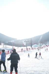 在北大湖實現了霧淞自由