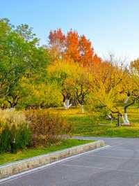 秋色滿園絕美倒映