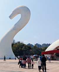 動物園隱藏玩法大賞